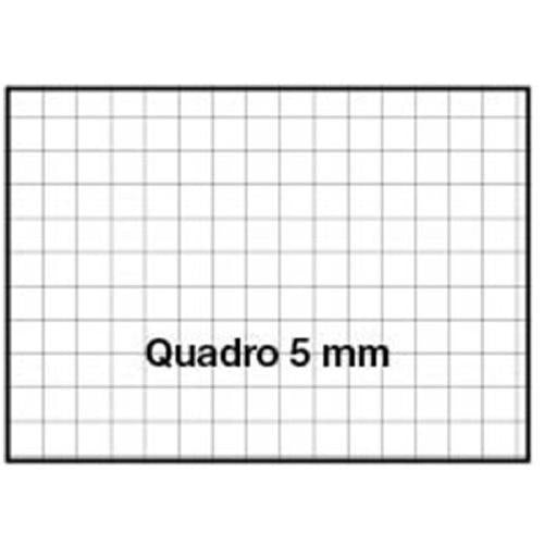 Quadernone Maxi A4 Blasetti 20FF. +1 80GR. Fantasie Assortite 2023/2024 Cf.10pz.