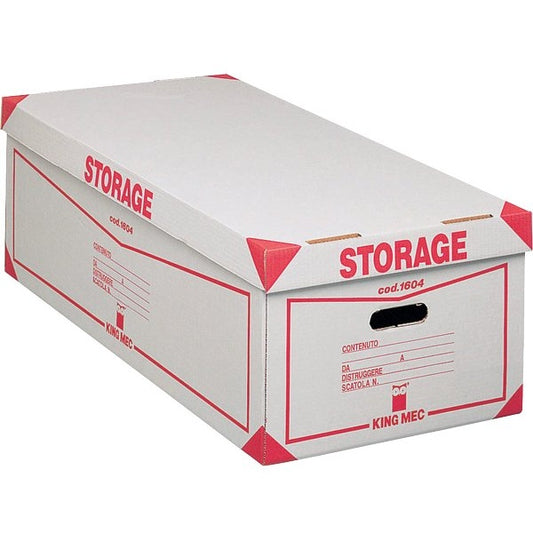 Esselte Scatola Storage con Coperchio x Archiviazione Definitiva