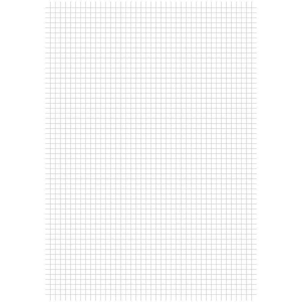 Carta Protocollo Cf. 200 FF. VARIE RIGATURE